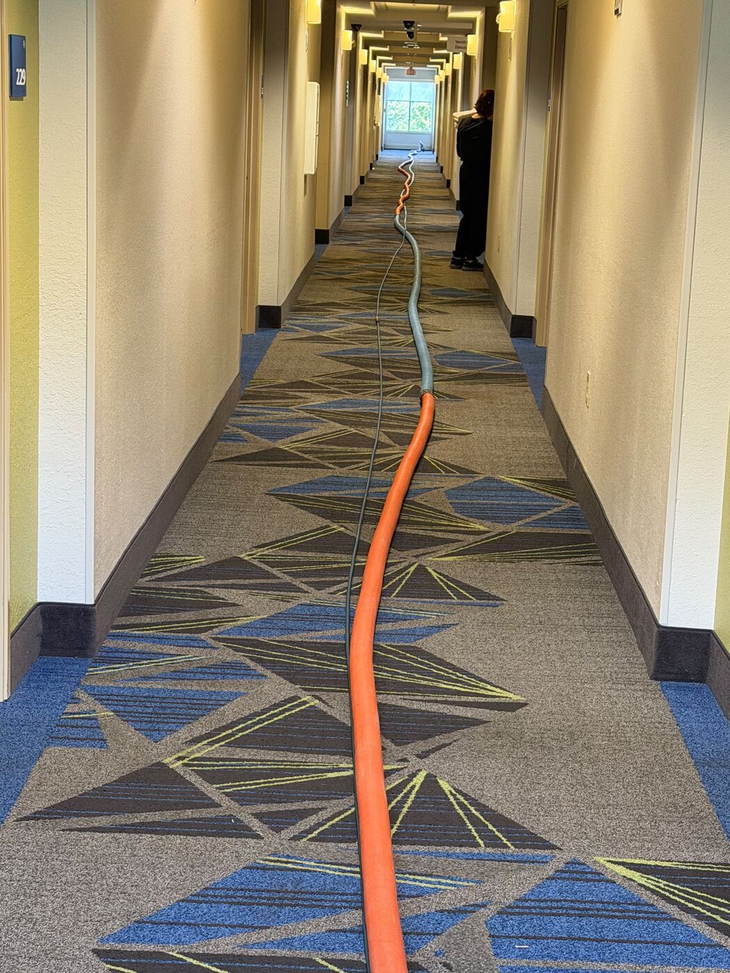 Commercial hallway carpet steam cleaning